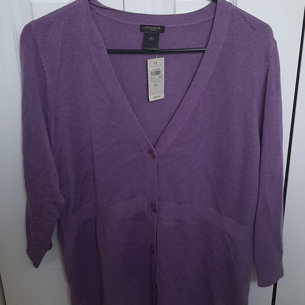 Ann Taylor XL New, never worn Sweater